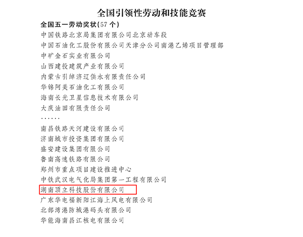 国家级荣誉!顶立科技荣获“全国五一劳动奖状”